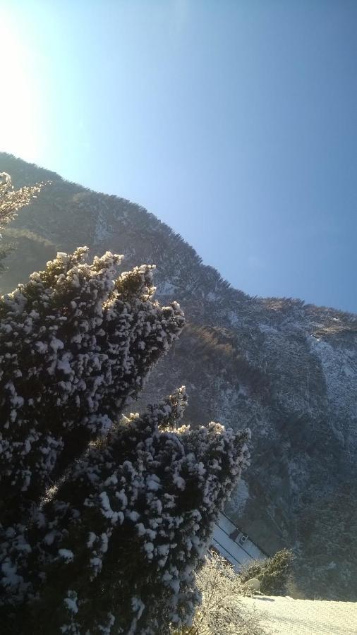 באד גויסרן Chalet Helen Deluxe Zimmer (Adults Only) מראה חיצוני תמונה